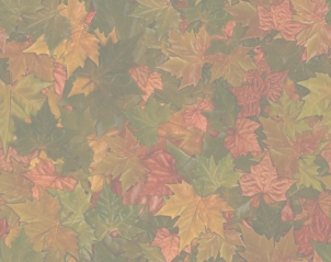 background autumn leaves