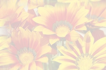 background floral 4