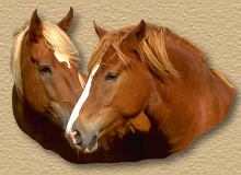 horses