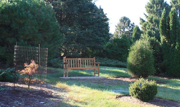 Distance view of the bench