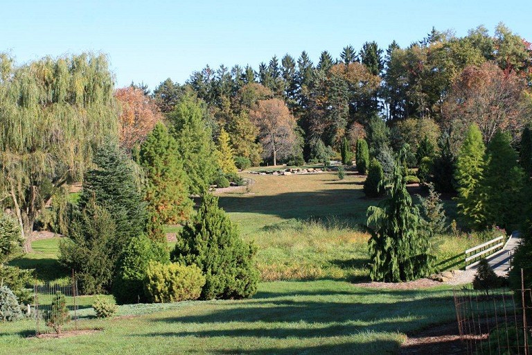 View from Nonda's Bench looking out over the arboretum