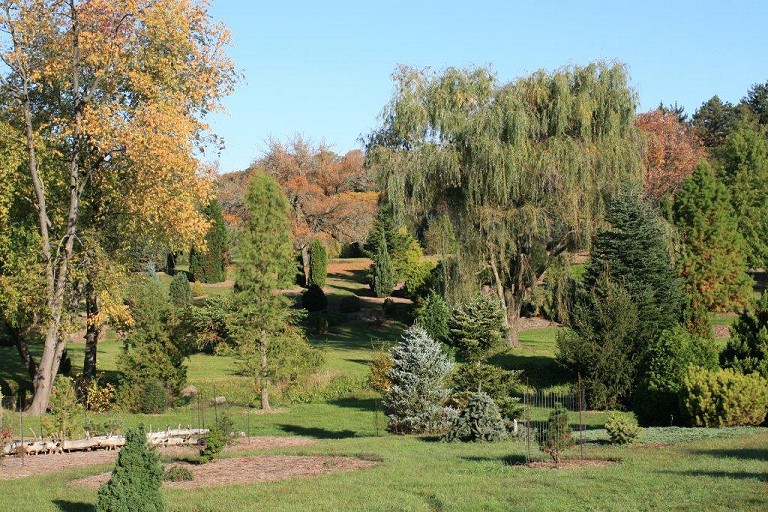 View of Nonda's bench from the left