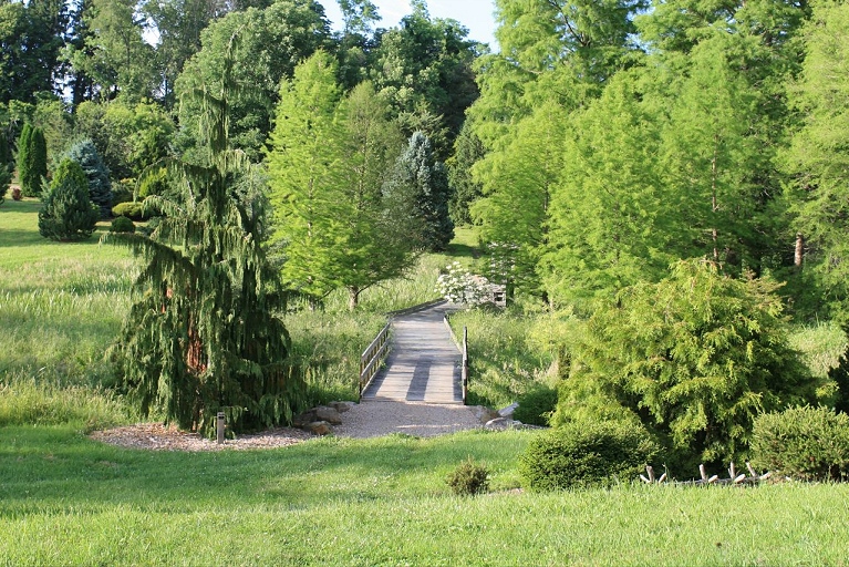 View from Nonda's bench 2014