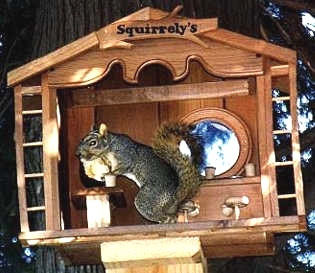 Juice Squirrel