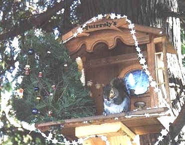 Xmas Squirrel