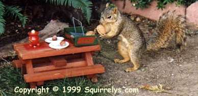 Squirrely Picnic Table
